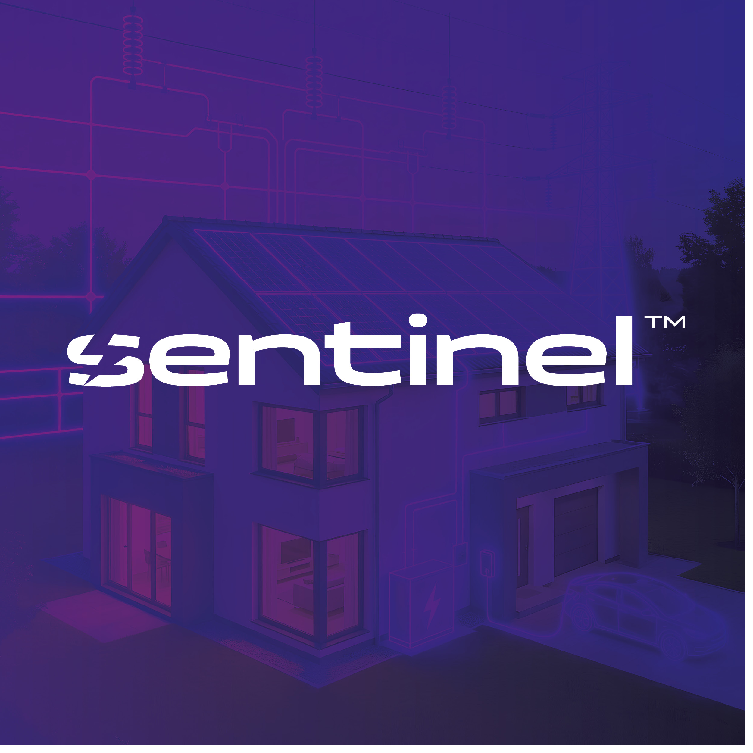 Sentinel™ and the move towards smarter, hands-off energy use